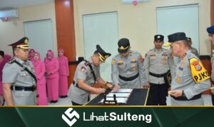 LihatSulteng lihatsulteng.com