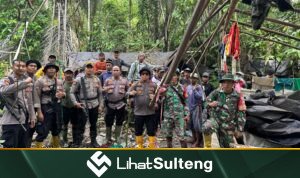 LihatSulteng lihatsulteng.com