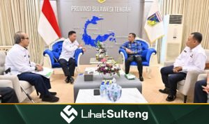 LihatSulteng lihatsulteng.com