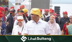 lihatsulteng.com