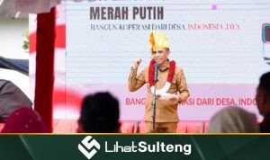 lihatsulteng.com
