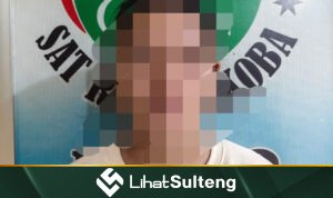 LihatSulteng lihatsulteng.com