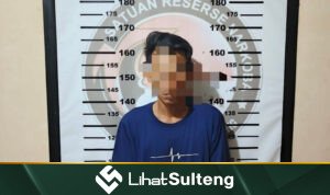 Lihat Sulteng lihatsulteng.com
