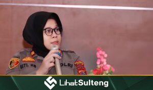 lihatsulteng.com