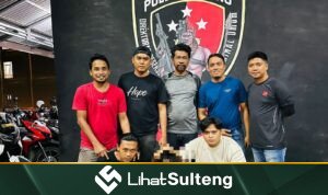 lihatsulteng.com