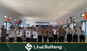 lihatsulteng.com