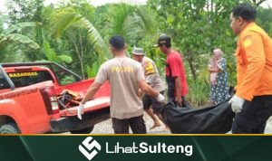 lihatsulteng.com