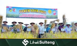 lihatsulteng.com