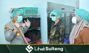 lihatsulteng.com