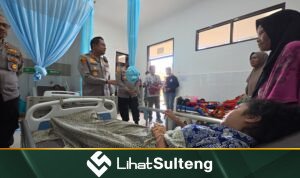 lihatsulteng.com