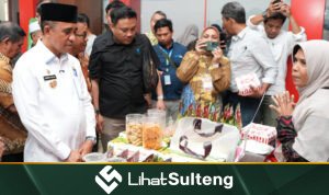 lihatsulteng.com