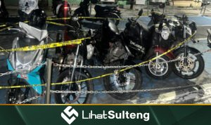Lihat Sulteng lihatsulteng.com