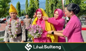 lihatsulteng.com