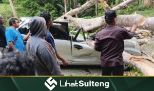 lihatsulteng.com