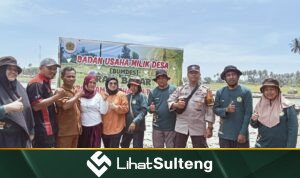 Lihat Sulteng lihatsulteng.com