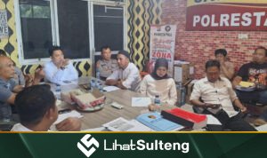 LihatSulteng lihatsulteng.com