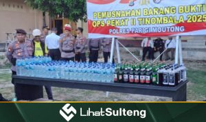 LihatSulteng lihatsulteng.com