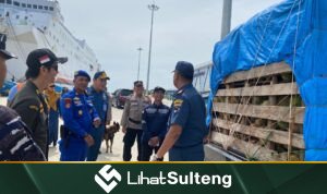 Karantina Sulteng lihatsulteng.com