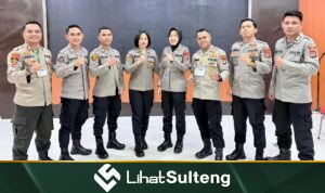 lihatsulteng.com
