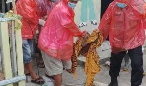 WhatsApp Image 2024 09 15 At 20 3