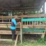 WhatsApp Image 2024 11 16 At 14.32.37