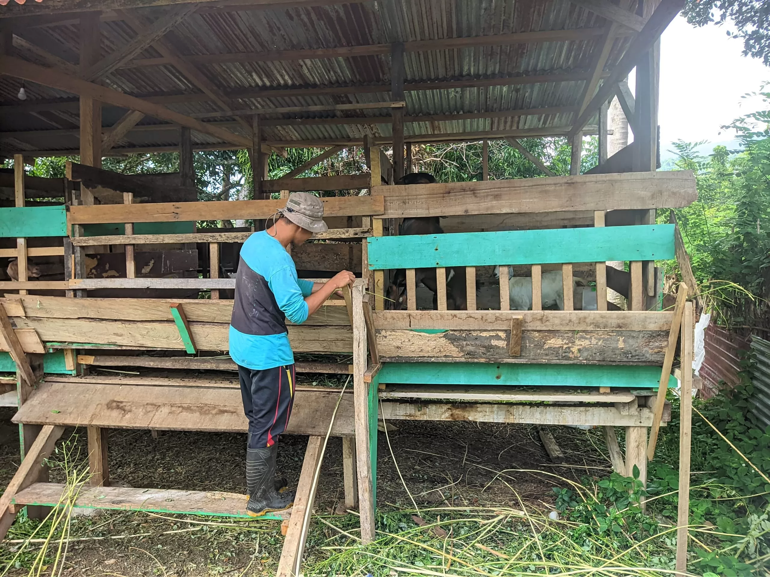 WhatsApp Image 2024 11 16 At 14.32.37 Scaled