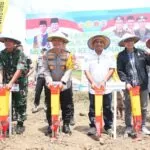 WhatsApp Image 2024 11 20 At 16.30.44