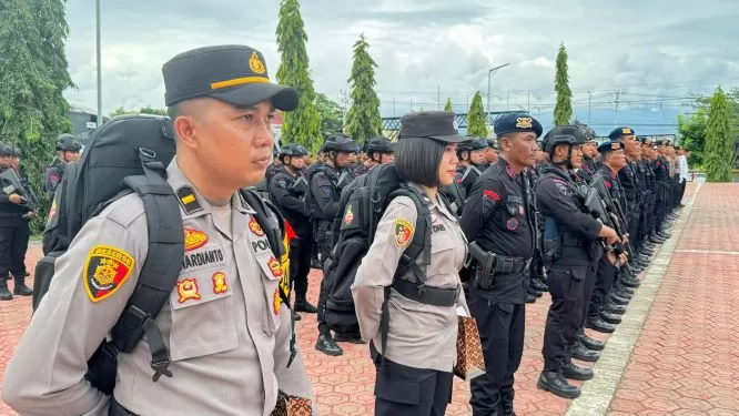 WhatsApp Image 2024 11 23 At 10.53.17