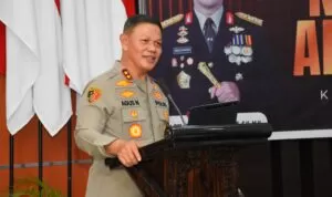 IMG-20250101-WA0001 IMG 20250101 WA0001