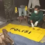 IMG 20250113 WA00452