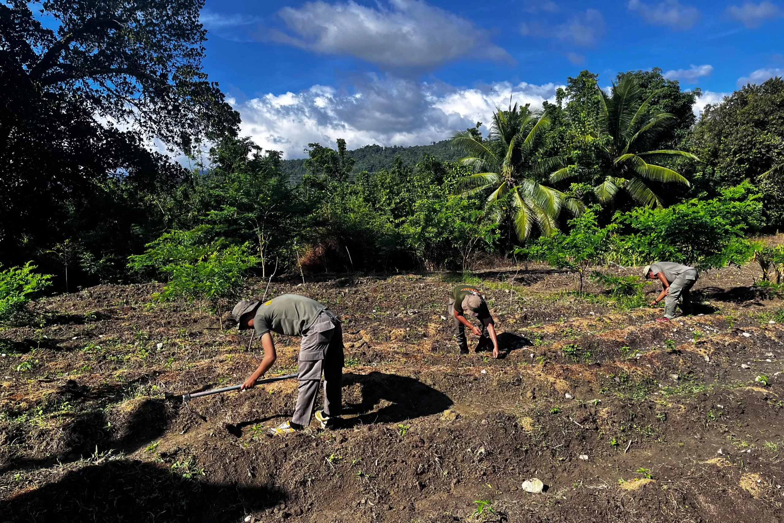 IMG 20250115 WA00562 1 Scaled