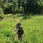 IMG-20250117-WA0002~2 IMG 20250117 WA00022