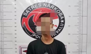 IMG-20250122-WA0088 IMG 20250122 WA0088