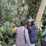 Picsart 25 01 24 16 15 48 262