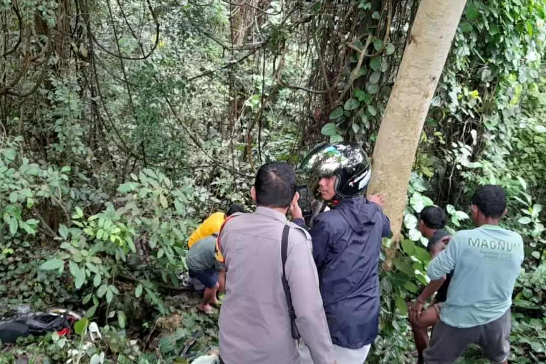 Picsart 25 01 24 16 15 48 262