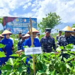 Exif_JPEG_420 IMG 20250203 134026 1