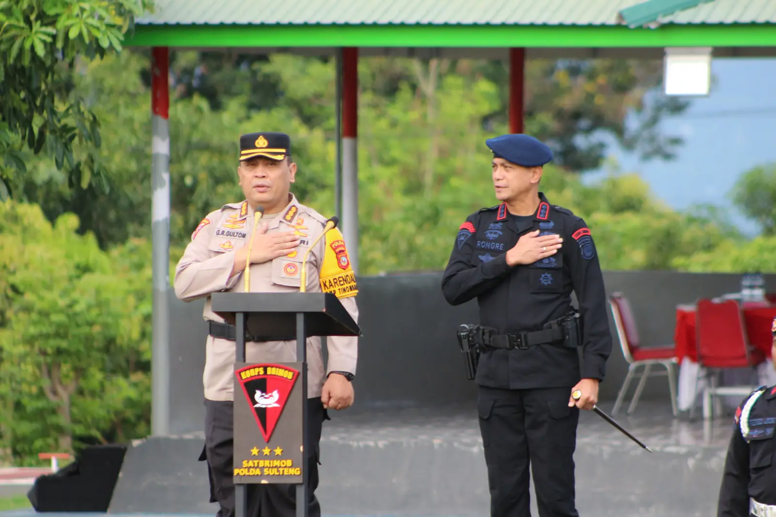 IMG-20250409-WA0053 IMG 20250409 WA0053