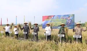 IMG-20250424-WA0000 IMG 20250424 WA0000