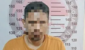 IMG-20250424-WA0093 IMG 20250424 WA0093