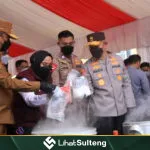 LihatSulteng Lihatsulteng.com