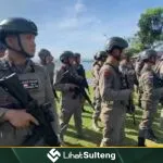 LihatSulteng lihatsulteng.com