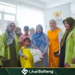 LihatSulteng lihatsulteng.com