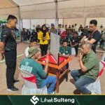 LihatSulteng lihatsulteng.com
