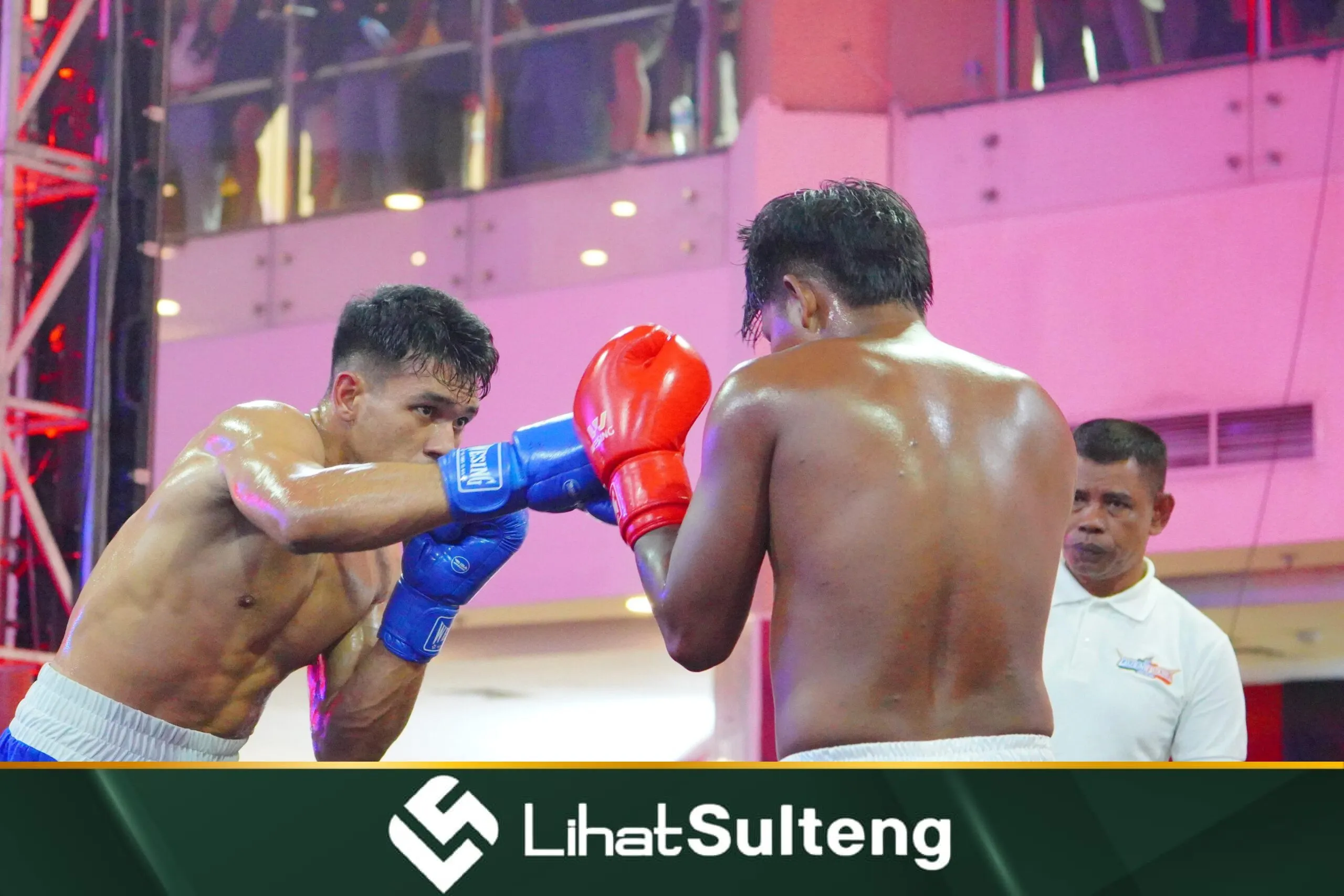 Lihat Sulteng lihatsulteng.com