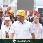 LihatSulteng lihatsulteng.com