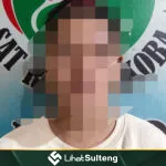 LihatSulteng lihatsulteng.com