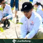 lihatsulteng.com Rembuk Pemuda Sulteng