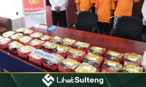 lihatsulteng.com Sabu