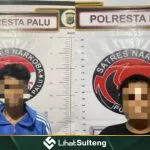 LihatSulteng lihatsulteng.com