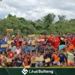 Lihat Sulteng lihatsulteng.com